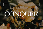 Fantastic Font Bundle, a Serif Font by Font Kingdom (Thumbnail 15 of 24)