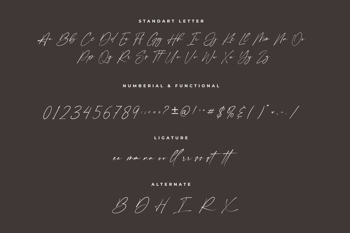 Shamson Signature Font, a Script Font by RantautypeStudio (Photo 15 of 17)
