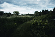 Hollywood LUTs pack, a Plug-in Add-On by Maple Visuals (Thumbnail 7 of 8)