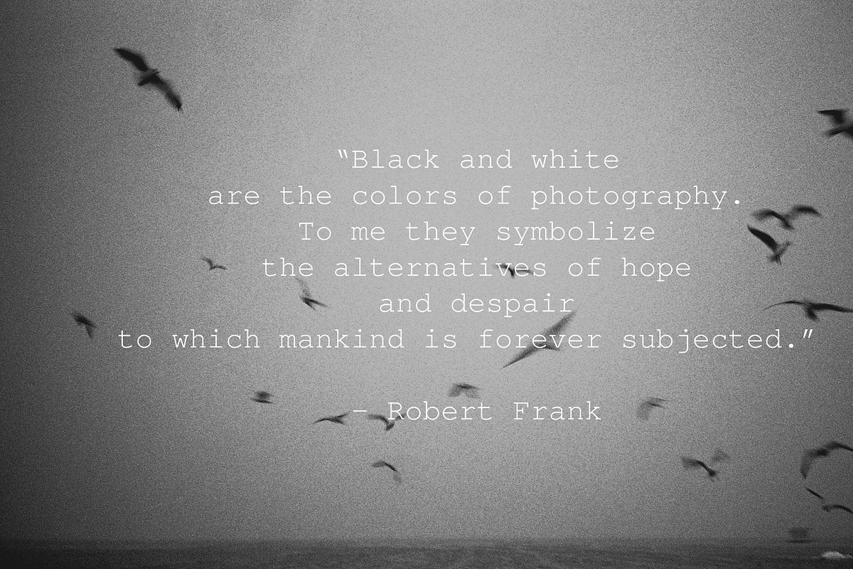 Black&White Archives ~ 92 HQ photos, a Templates & Theme by Barn Images (Photo 2 of 7)