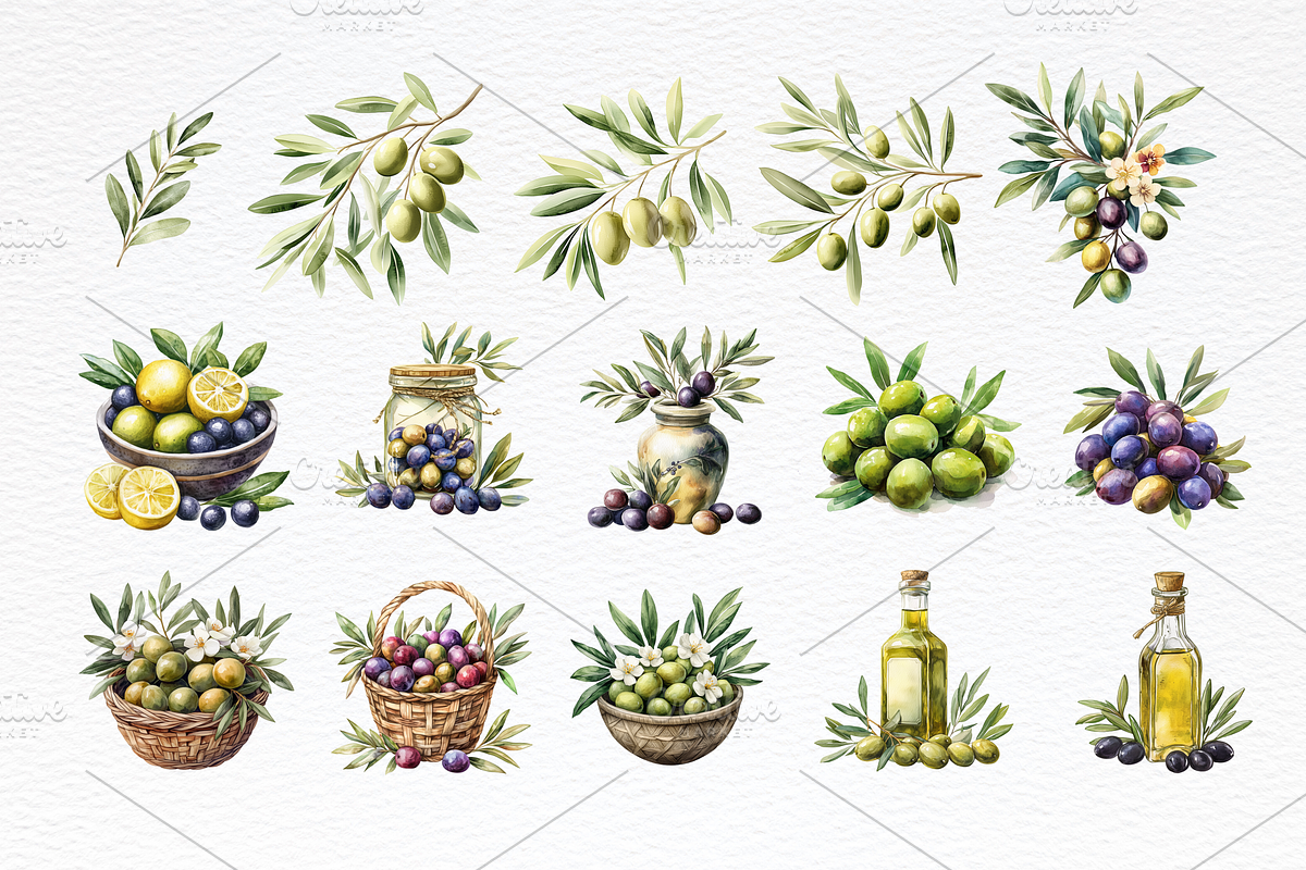 Olive Watercolor Clipart, a Food Illustration by Douce Créativité (Photo 5 of 6)