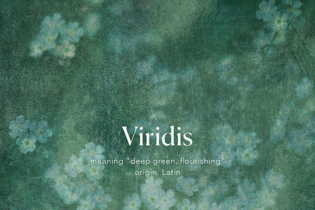 Veine Verte Botanical Backgrounds, a Background Graphic by alonahaidash (Photo 17 of 20)