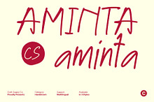 CS Aminta – Handwriting Font