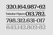 Charman Serif Font Family, a Serif Font by Propertype (Thumbnail 9 of 13)