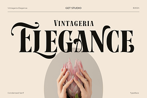 Vintageria Elegance, a Serif Font by Get Studio