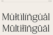 CS Briseis – Luxury Serif Font, a Serif Font by Craft Supply Co. (Thumbnail 4 of 8)