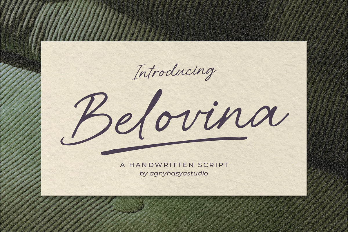 Belovina - Handwritten Script Font, a Handwritten Font by agnyhasyastudio (Photo 1 of 14)