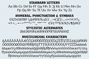 Champigna Comic Family, a Font by Royaltype (Thumbnail 5 of 8)