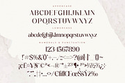 Tranquil Euphoric A Modern Font Duo, a Serif Font by Storytype Studio (Thumbnail 10 of 15)