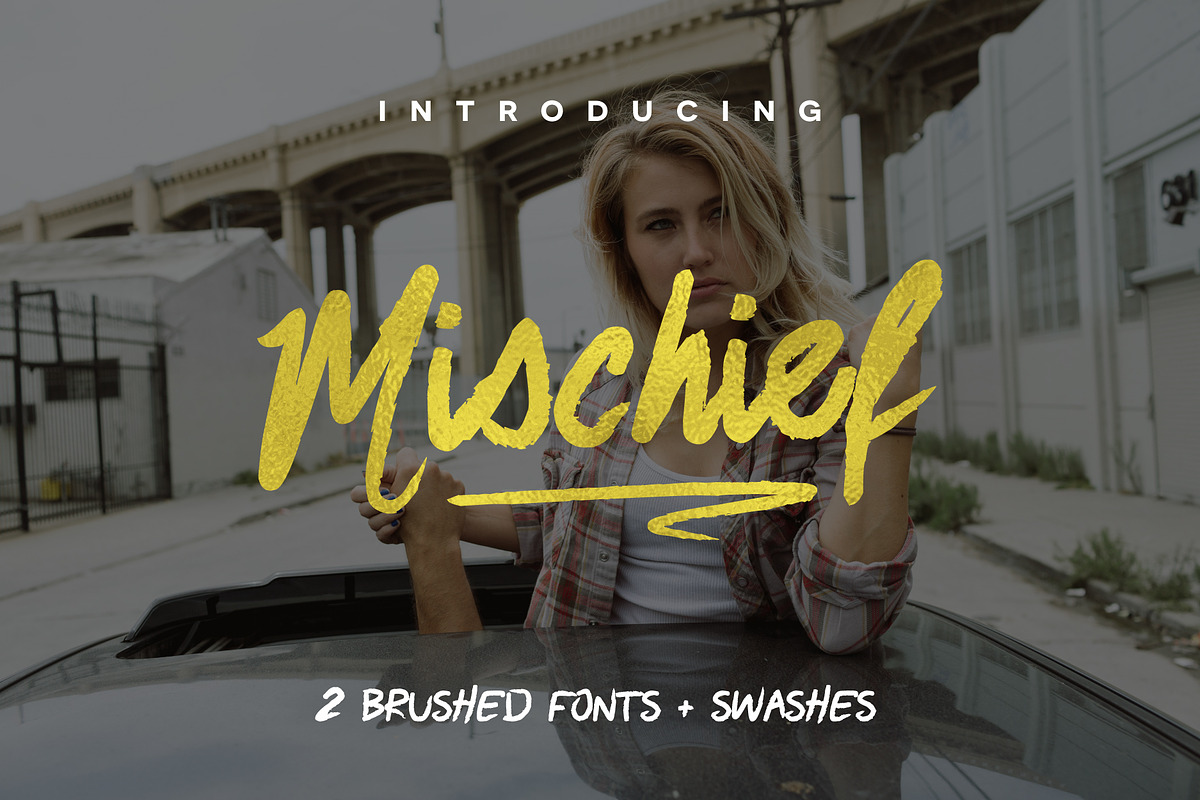 Premium Font Bundle, a Script Font by Flycatcher Design (Photo 101 of 140)