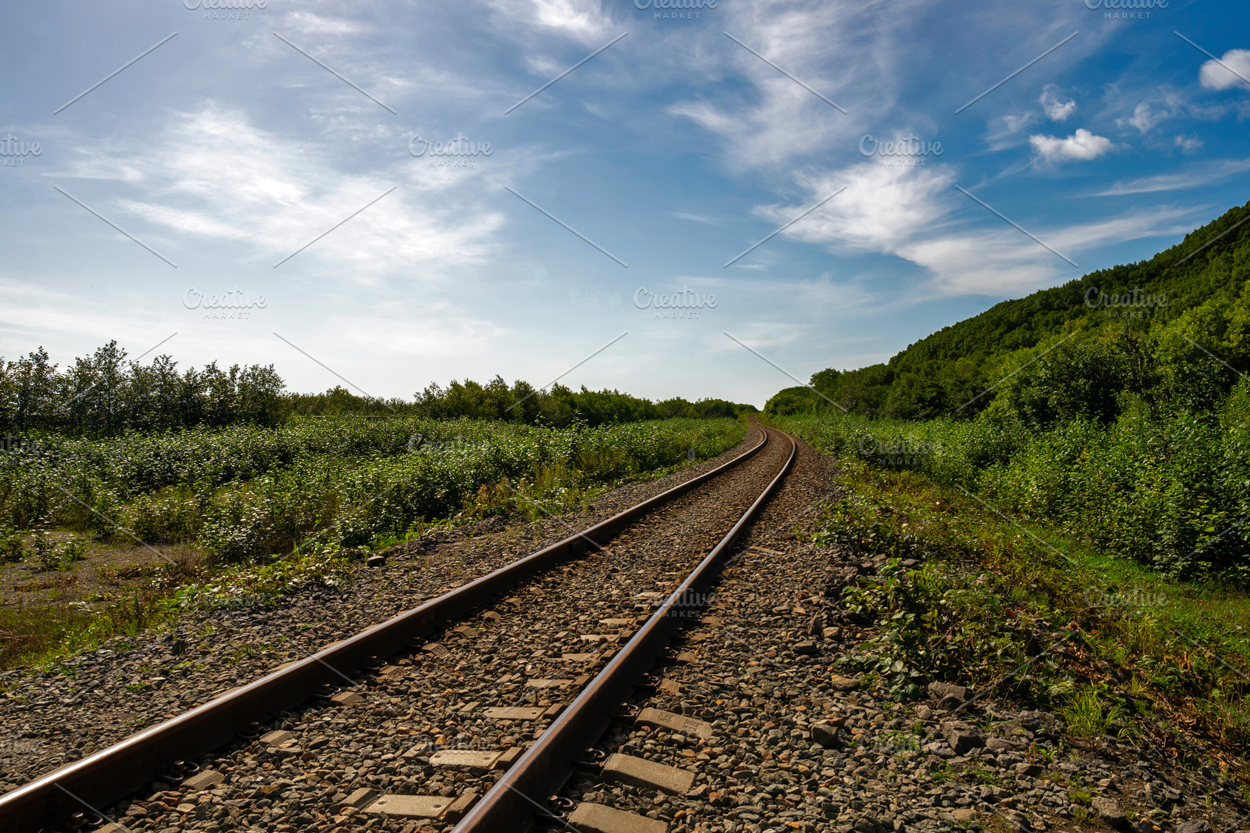 Railway tracks curving through summe, a Wallpaper Photo by Elena Vagengeim