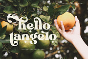 Grande - Retro Font, a Serif Font by Sans & Sons (Thumbnail 2 of 11)