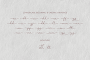 Aynun - Script Font, a Script Font by Fikry Alfatih (Thumbnail 9 of 11)