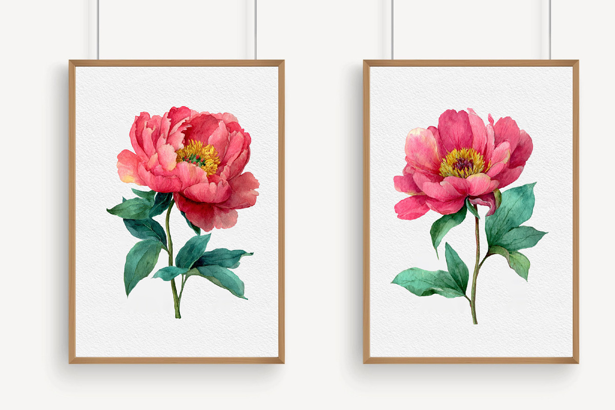 Watercolor Peony Clipart PNG, an Illustration by Libby Wishes (Photo 5 of 5)