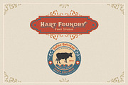 Liquire, a Serif Font by Hart Foundry™ (Thumbnail 4 of 9)