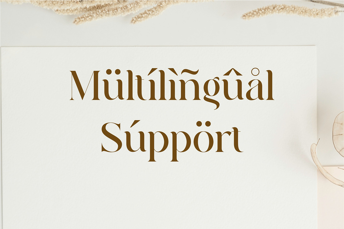 Quainy Modern Serif Font, a Serif Font by Dylla_studio (Photo 11 of 12)