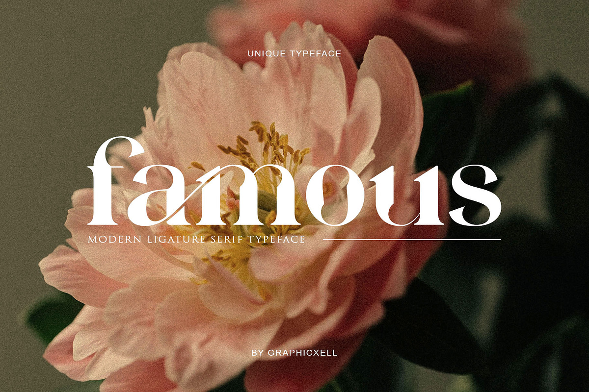 Famous Ligature Typeface, a Serif Font by Graphicxell (Photo 1 of 15)