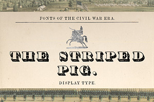 The Striped Pig Display Font