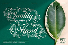 Quality Hand Typeface