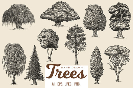 Trees, an Illustration by CGterminal
