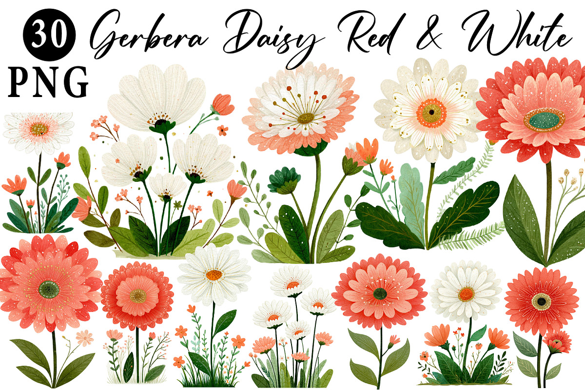 Gerbera Daisy Red & White Clipart, an Illustration by Daily.Designs (Photo 1 of 5)