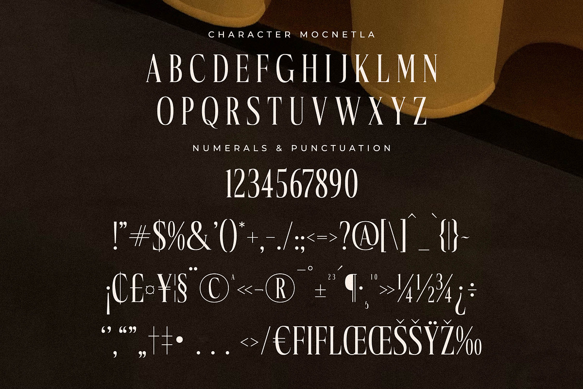 Mocnetla Display Serif Font, a Serif Font by Storytype Studio (Photo 13 of 15)