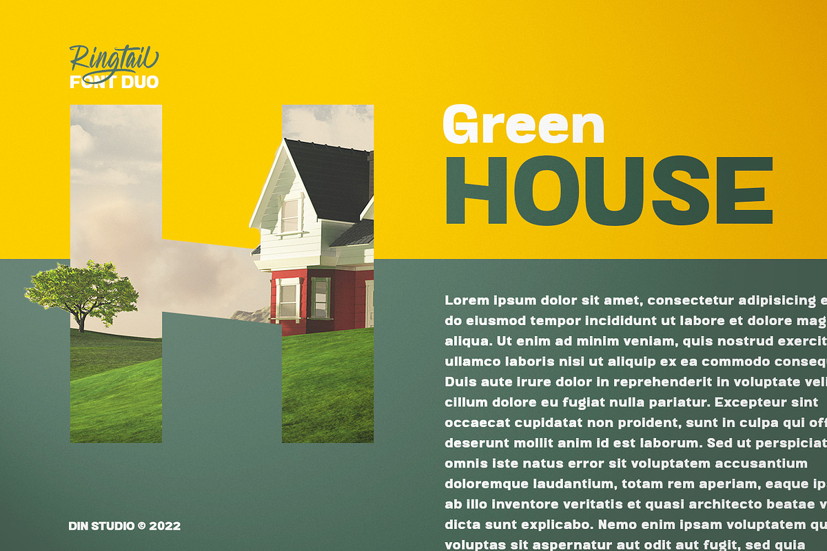 Ringtail, a Sans Serif Font by din-studio.com (Photo 7 of 10)