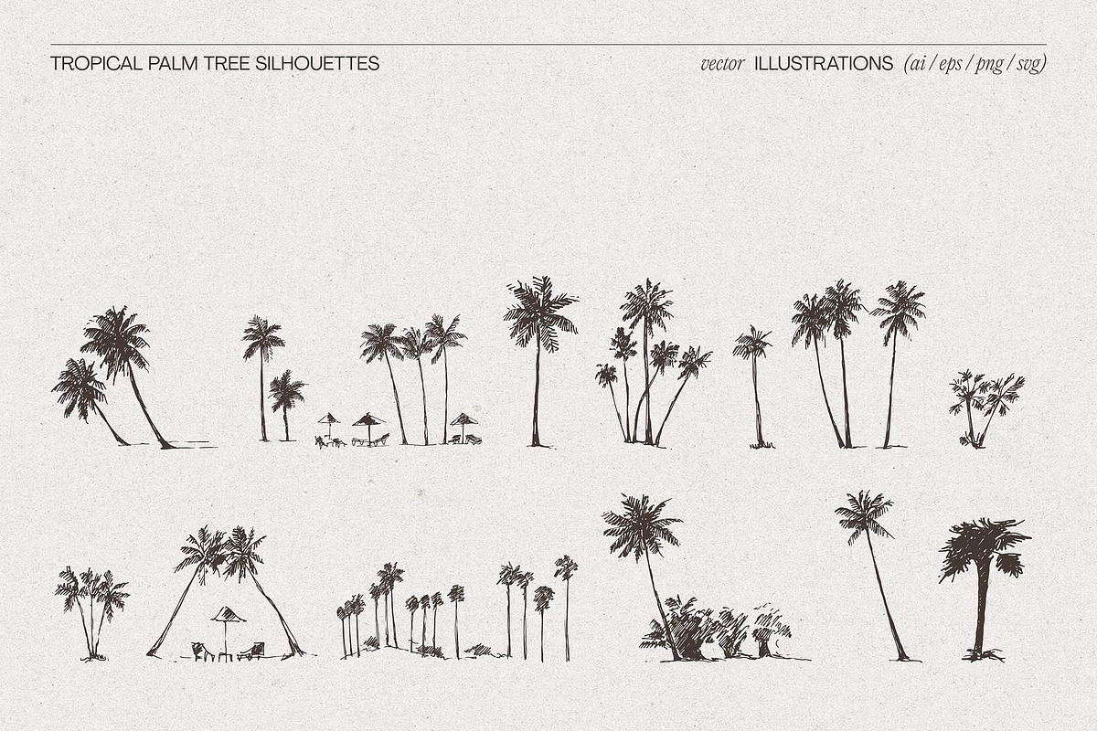 Tropical Palm Tree Silhouettes, an Object Illustration by TheMountBirdStudio (Photo 6 of 6)