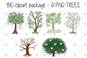 Family Tree clipart, Watercolour,, an Illustration by CommercialCliparts (Thumbnail 3 of 3)