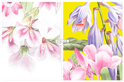 Florecer, Ultimate SS2026 Prints!, a Pattern Graphic by Pink Linen (Thumbnail 6 of 14)