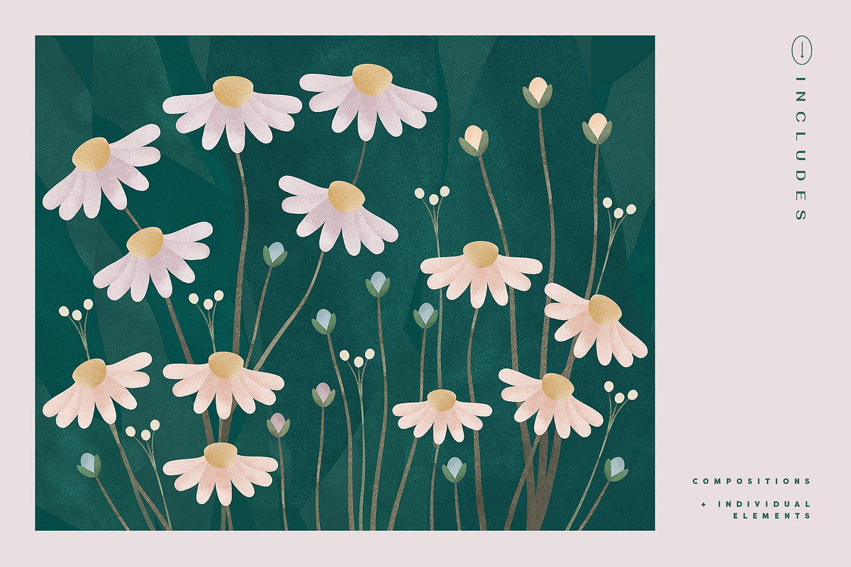 Painted Flowers and Compositions, an Object Graphic by Basia Stryjecka (Photo 13 of 19)