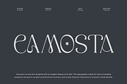 Camosta  Display Serif Font, a Font by Flawless And Co (Thumbnail 1 of 10)