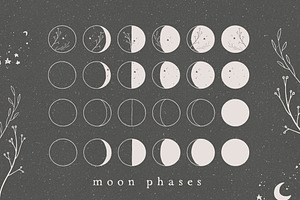 MOON PHASES / Vector Illustration