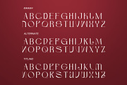 Arunela – Elegant Serif Font, a Serif Font by Letterara (Thumbnail 11 of 14)