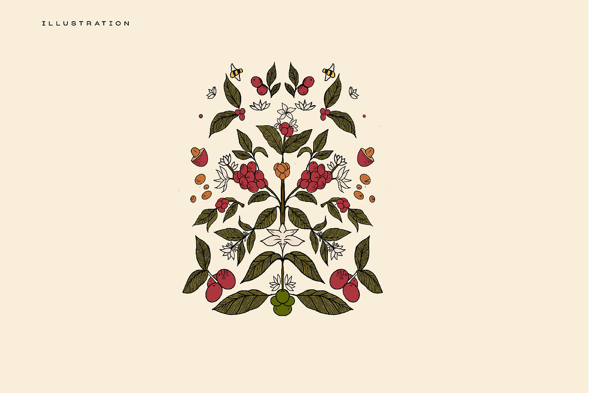 Coffee Handcrafted Illustration, an Illustration by Elysamunster (Photo 9 of 14)