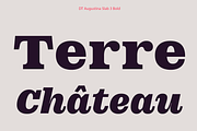 DT Augustina Slab 3 Subfamily, a Slab Serif Font by Deveze Type Foundry (Thumbnail 13 of 31)
