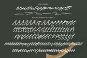 Goldeny Battiely Modern Brush Font, a Handwritten Font by operatype.co (Thumbnail 9 of 10)