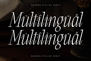 Clamofte Modern Stylish Serif, a Serif Font by Letterena Studios (Thumbnail 12 of 15)