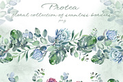 PROTEA watercolor flowers clipart, an Illustration by LenArt (Thumbnail 7 of 16)