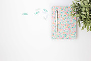 Mint & Pink Styled Stock Photos, a Business Photo by Pixels & Design (Thumbnail 6 of 8)