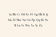 Stailen Modern Serif Font, a Serif Font by Idea Studio (Thumbnail 10 of 12)