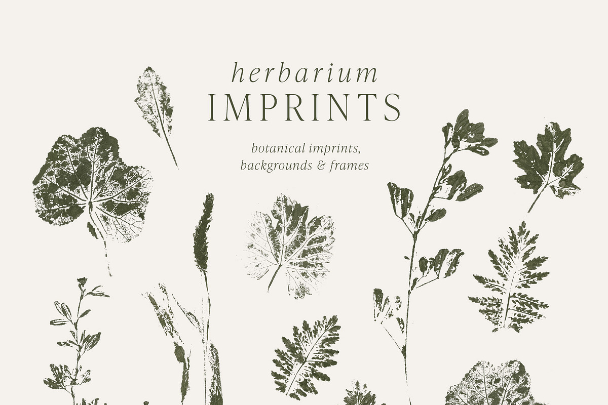 Botanical Imprints: Floral & Paper, an Object Graphic by Yuliya Derbisheva (Photo 5 of 10)