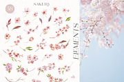 Sakura Blossom. Cherry Spring., a Seasonal Illustration by Designwork (Thumbnail 14 of 23)