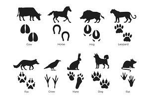 Animals silhouettes with footprint, an Animal Illustration by YummyBuum