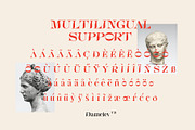Bornice Modern Serif, a Serif Font by Damelev (Thumbnail 12 of 13)