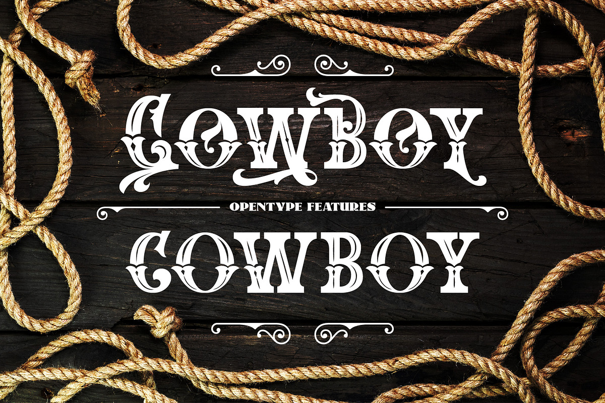 The Western Gold, a Serif Font by Burntilldead (Photo 2 of 11)