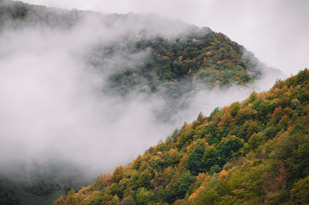 Autumn forest and foggy mountains, a Nature Photo by David Khelashvili