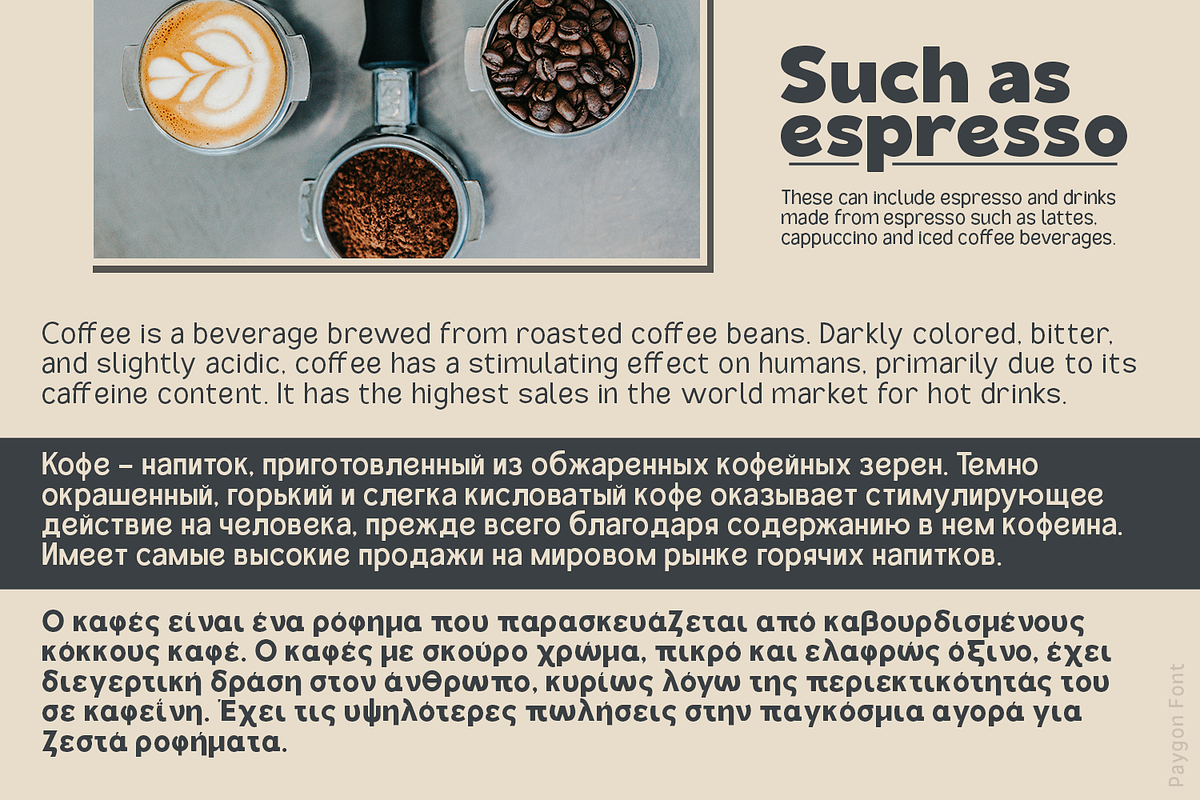 Paygon Sans Family, a Sans Serif Font by TypeClassHeroes (Photo 5 of 15)