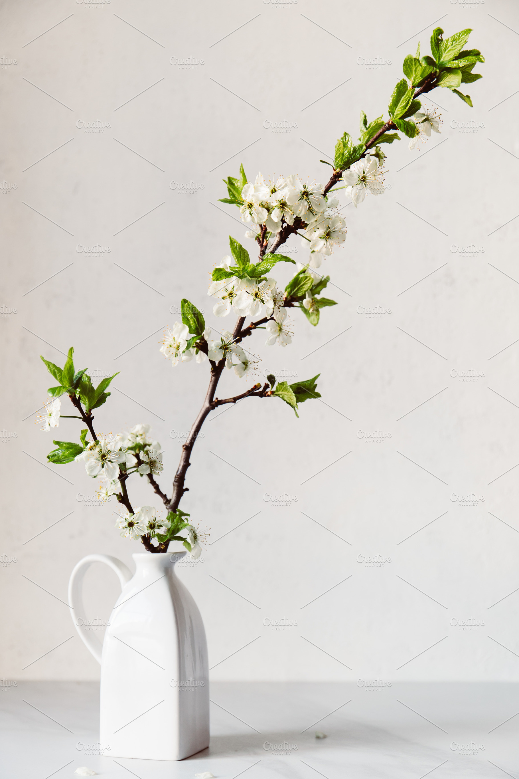Branch of cherry blossom in white va, a Nature Photo by Edalin's Store