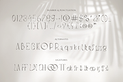 Stockist Elegant Display, a Font by Creatype Studio (Thumbnail 8 of 10)